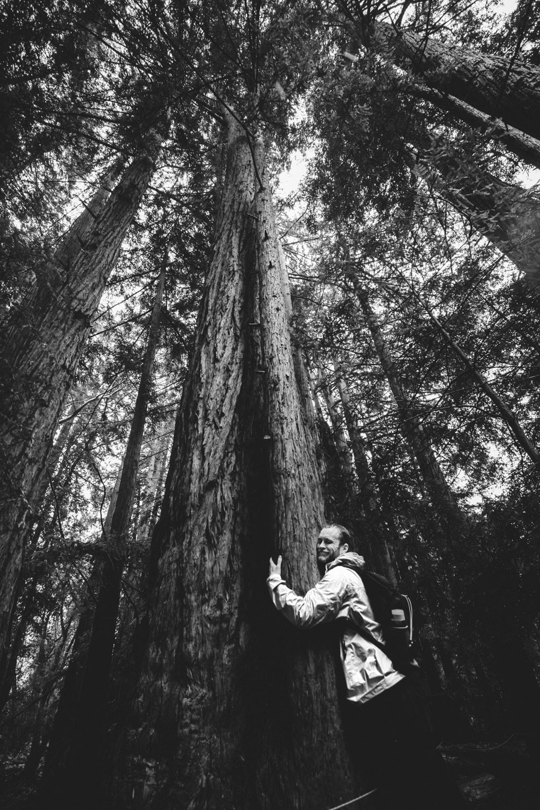 Evoegy. Open handed holding of native sappling in red soil. Carbon Neutral Charitable Fund.